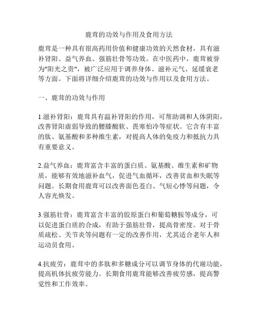 鹿茸的功效与作用及食用方法