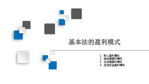 国寿基本法新人组经理处经理区域总监盈利模式41页