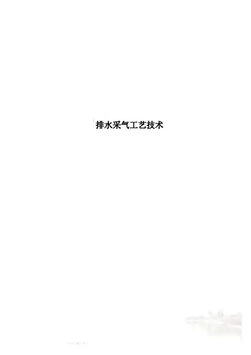 排水采气工艺技术