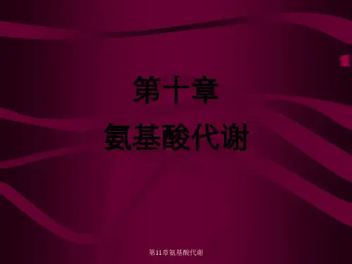 第11章氨基酸代谢