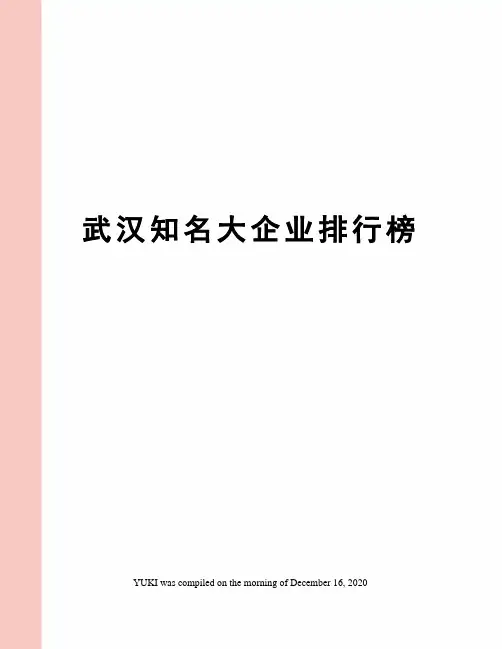 武汉知名大企业排行榜