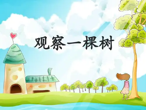 四年级上册科学课件-第7课 观察一棵树 鄂教版 (共10张PPT)