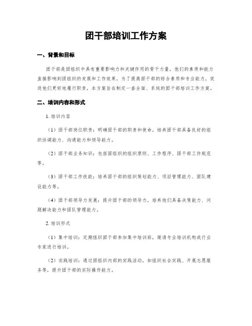 团干部培训工作方案