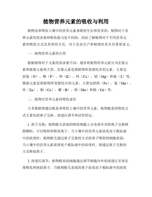 植物营养元素的吸收与利用
