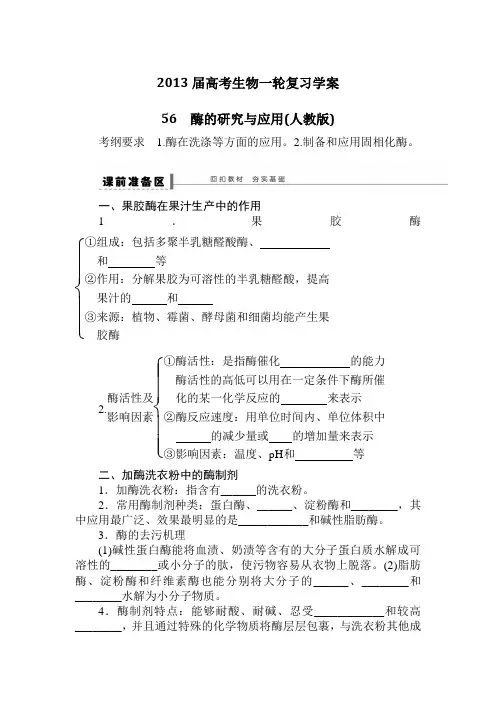 2013届高考生物第一轮专题复习教案13