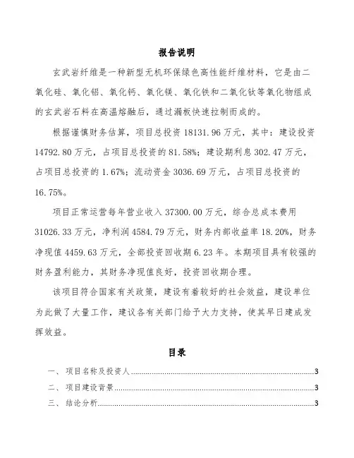 玄武岩纤维项目工程建设方案