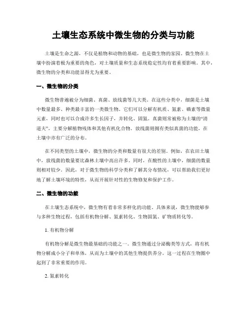 土壤生态系统中微生物的分类与功能