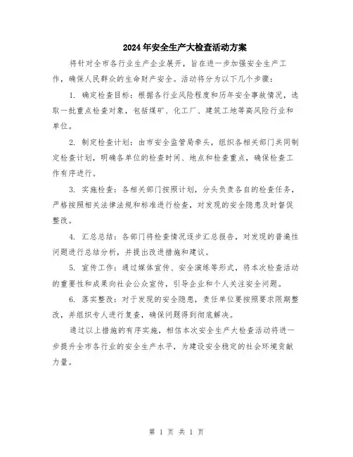 2024年安全生产大检查活动方案