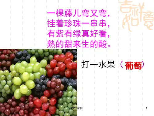 水果拼盘  ppt课件
