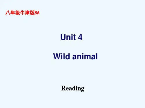 八年级英语上册《unit4》课件
