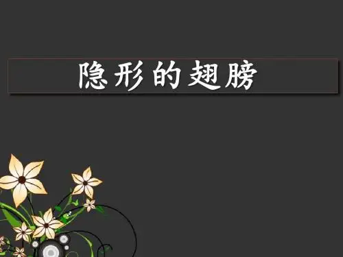 《隐形的翅膀》PPT(上课用)