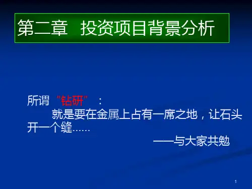 项目背景分析PPT课件