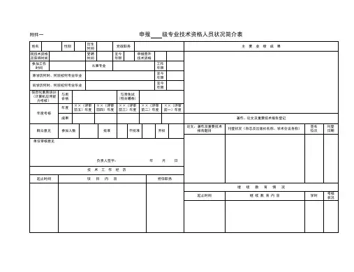 级专业技术资格人员情况简介表样本