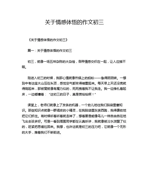 关于情感体悟的作文初三
