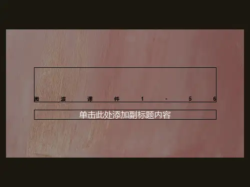 微波课件1-56