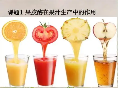 人教版高中生物选修一专题四课题1 果胶酶在果汁生产中的作用  课件(共18张PPT)