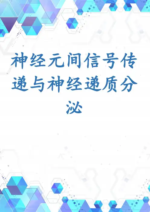 神经元间信号传递与神经递质分泌