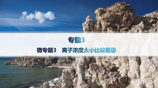2024-2025学年高二化学选择性必修1(配苏教版)教学课件微专题3离子浓度大小比较图像