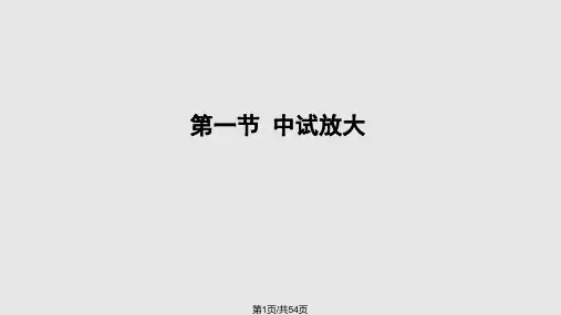 中试放大与生产工艺规程PPT课件