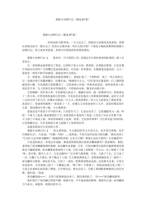 观察小动物日记(精选37篇)