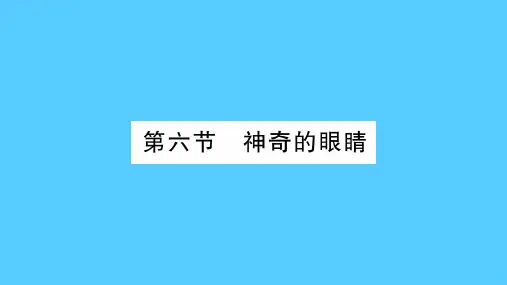 第4章  第6节 神奇的眼睛—2020年秋教科版物理八年级上册课时作业课件