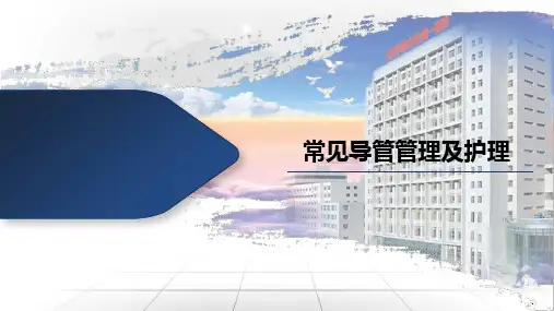 导管的管理及护理