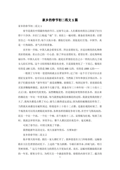 家乡的春节初二范文5篇