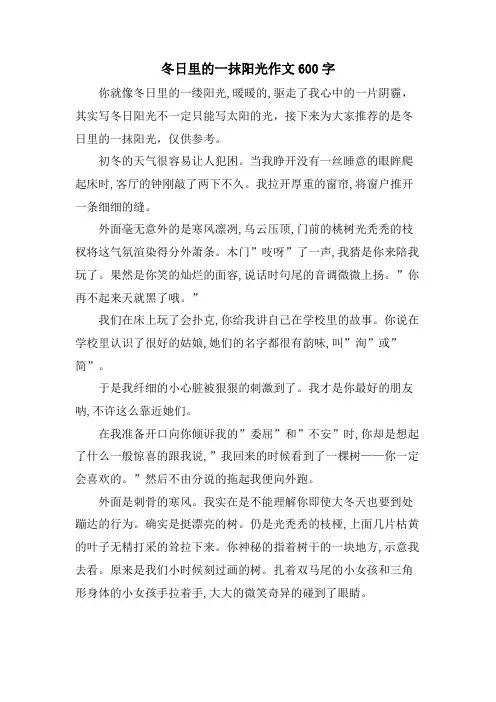 冬日里的一抹阳光作文600字