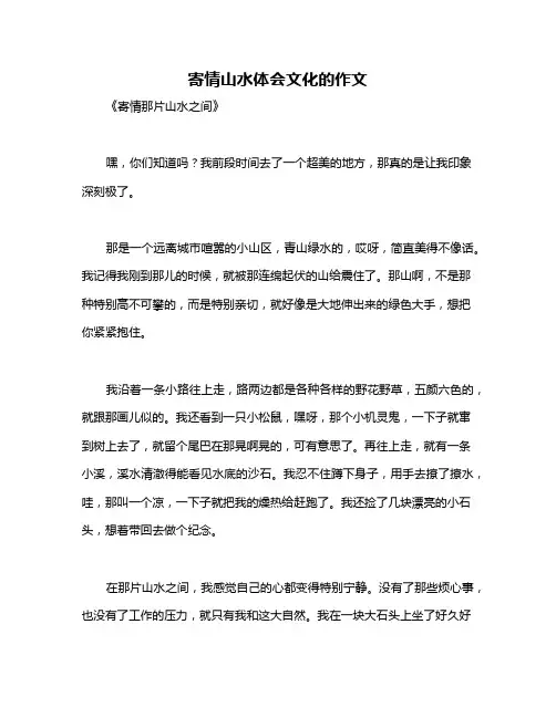 寄情山水体会文化的作文
