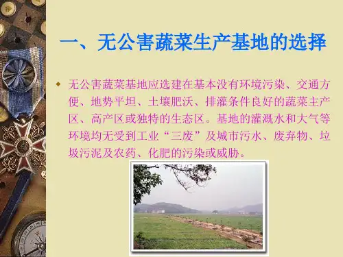 精选无公害蔬菜生产技术ppt无公害蔬菜生产技术