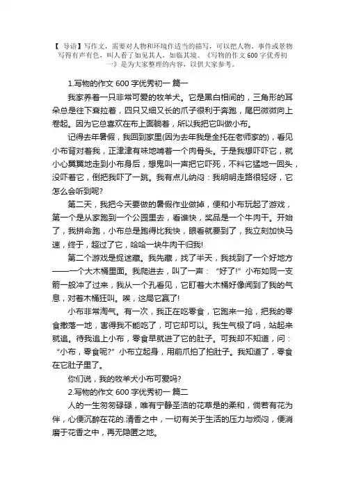 写物的作文600字优秀初一