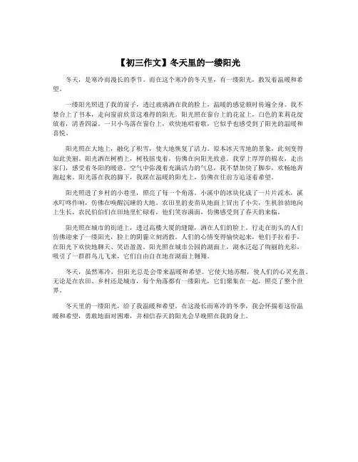 【初三作文】冬天里的一缕阳光