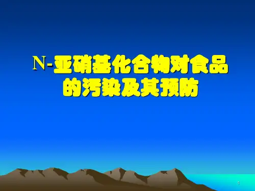N-亚硝基化合物ppt课件
