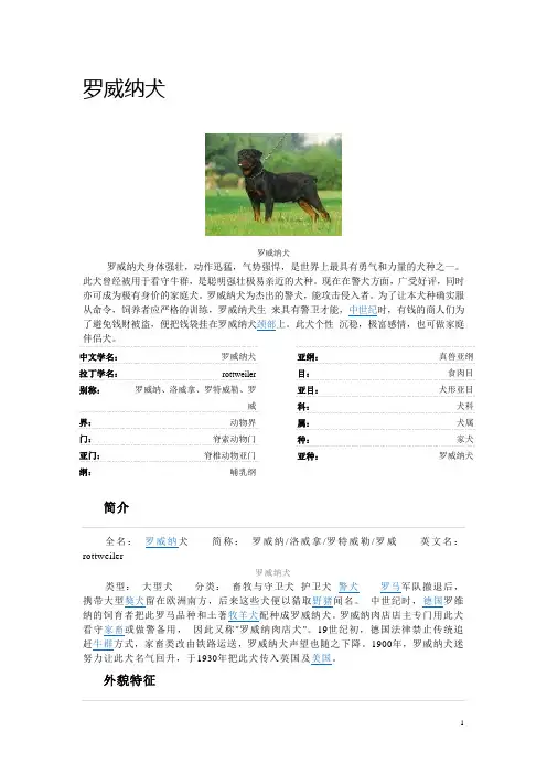 罗威纳犬