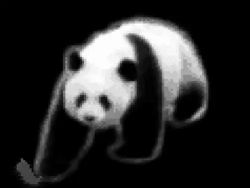 【高中生物】细胞的类型和结构