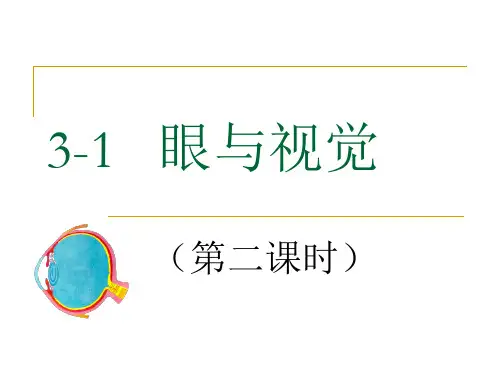 眼与视觉课件