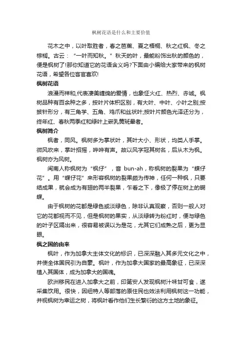 枫树花语是什么和主要价值_鲜花礼仪_
