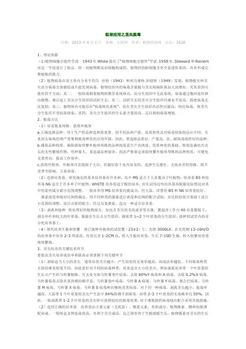 组培应用之茎尖脱毒