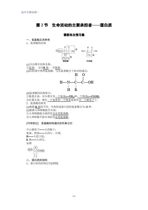 高中生物人教版必修1学案：2.2+生命活动的主要承担者——蛋白质+Word版含解析