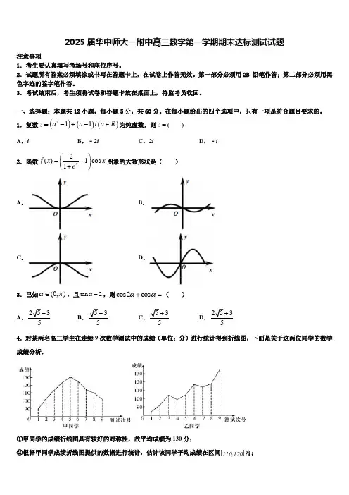 2025届华中师大一附中高三数学第一学期期末达标测试试题含解析