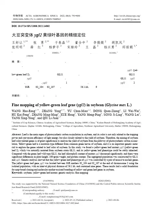 大豆突变体ygl2黄绿叶基因的精细定位