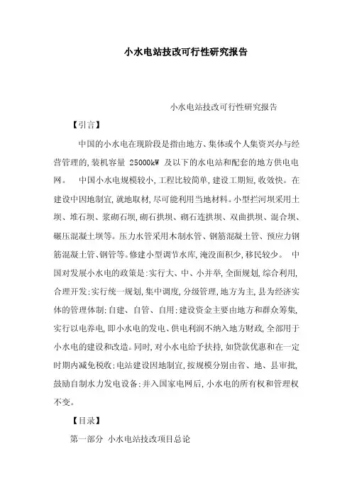 小水电站技改可行性研究报告（可编辑）