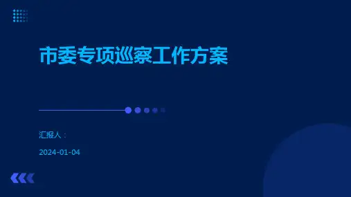 市委专项巡察工作方案