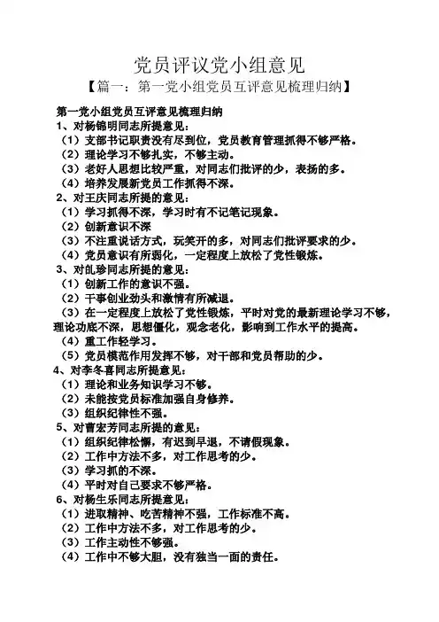 党员评议党小组意见