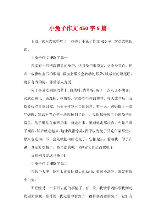 小兔子作文450字5篇