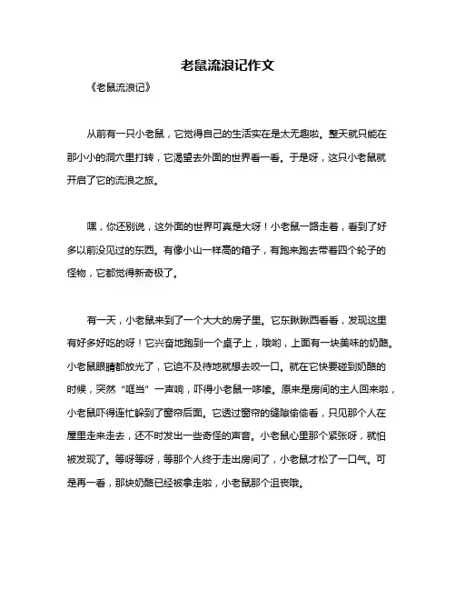 老鼠流浪记作文