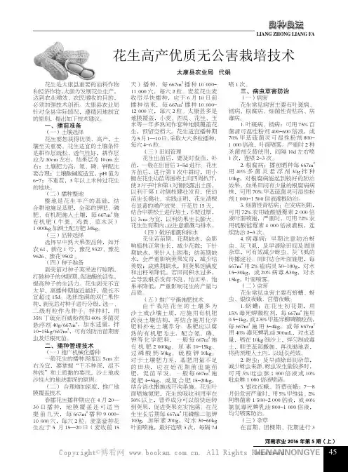 花生高产优质无公害栽培技术
