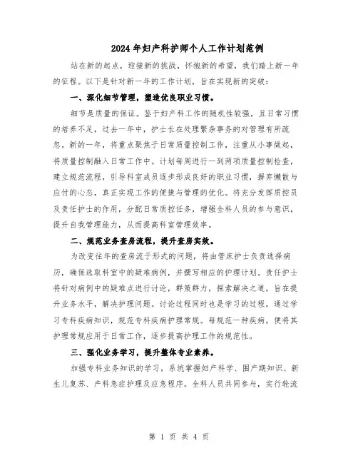 2024年妇产科护师个人工作计划范例（三篇）