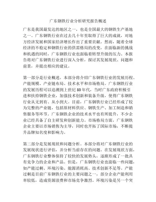 广东钢铁行业分析研究报告概述