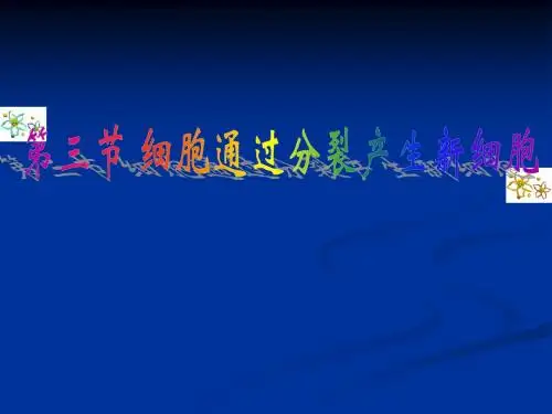 2.3细胞通过分裂产生新细胞